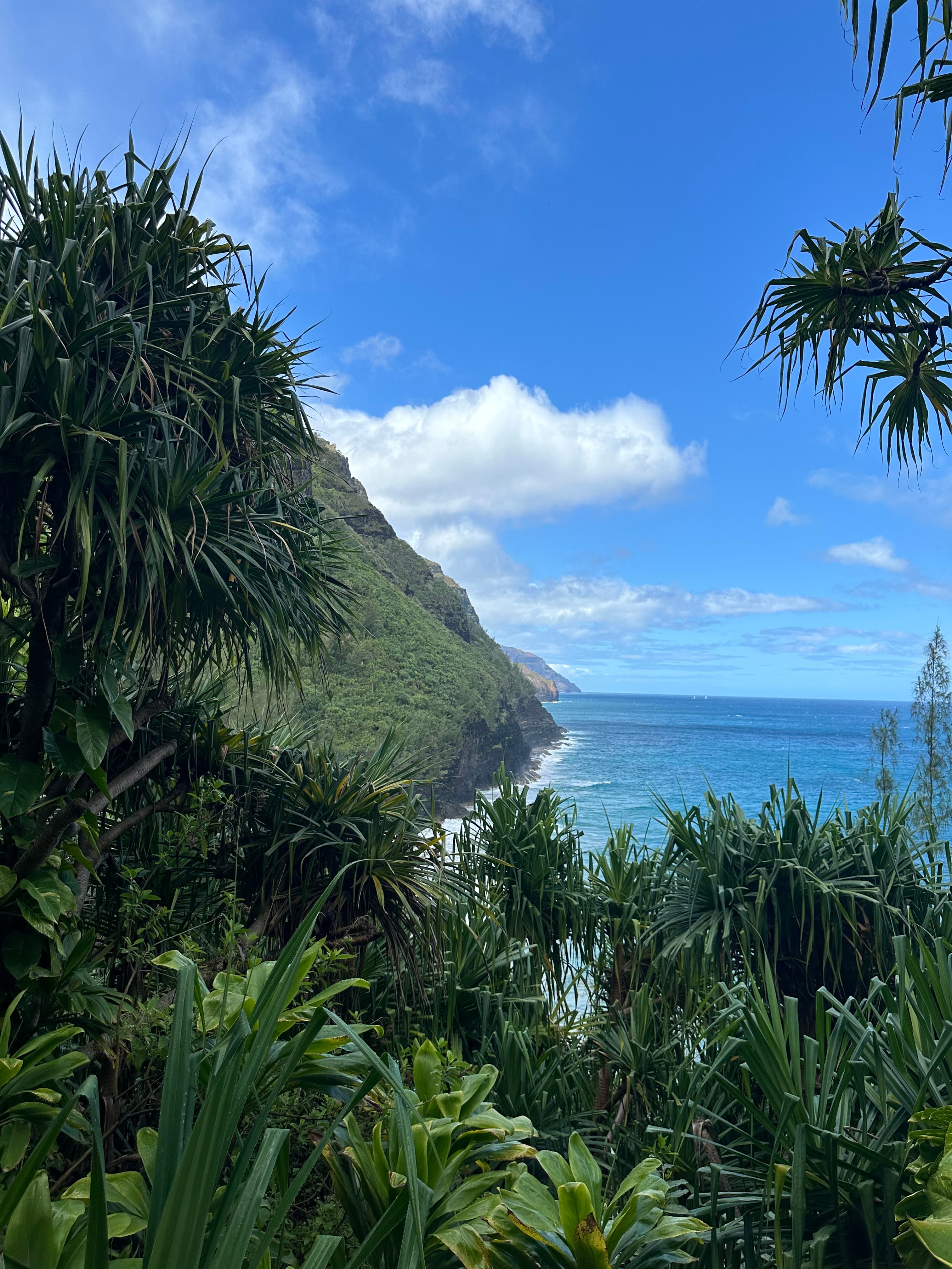 Kalalau Trail and Na Pali Coast scenery